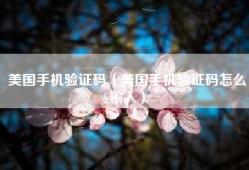 美国手机验证码（美国手机验证码怎么输入）