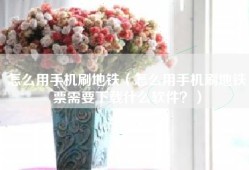 怎么用手机刷地铁（怎么用手机刷地铁票需要下载什么软件？）