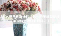 怎么用手机刷地铁（怎么用手机刷地铁票需要下载什么软件？）