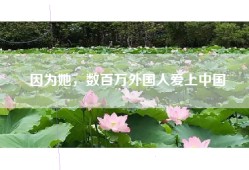 因为她，数百万外国人爱上中国