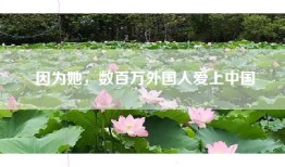 因为她，数百万外国人爱上中国