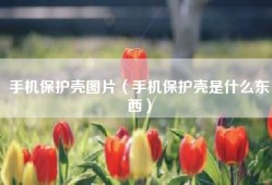 手机保护壳图片（手机保护壳是什么东西）