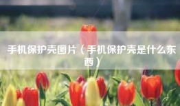 手机保护壳图片（手机保护壳是什么东西）