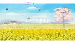 广告推送平台