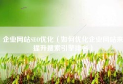 企业网站SEO优化（如何优化企业网站来提升搜索引擎排名）