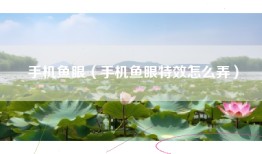 手机鱼眼（手机鱼眼特效怎么弄）