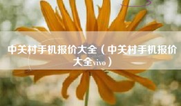 中关村手机报价大全(中关村手机报价大全vivo)