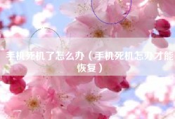 手机死机了怎么办（手机死机怎办才能恢复）