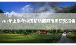2019年上半年中国移动搜索市场研究报告