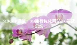 SEO小小课堂：301跳转优化网站SEO实战总结