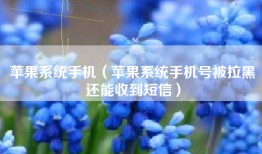 苹果系统手机（苹果系统手机号被拉黑还能收到短信）
