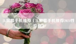 2k屏幕手机推荐（2k屏幕手机推荐2024性价比）