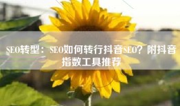 SEO转型：SEO如何转行抖音SEO？附抖音指数工具推荐