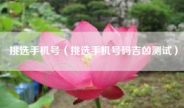 挑选手机号（挑选手机号码吉凶测试）
