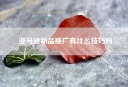 亚马逊新品推广有什么技巧吗