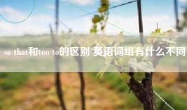 so that和too to的区别 英语词组有什么不同
