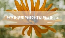数字化转型的绩效评估与优化.pptx