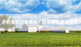 手机重装安卓系统（安卓系统重装系统）