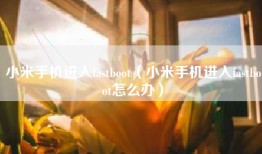 小米手机进入fastboot（小米手机进入fastboot怎么办）