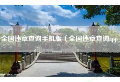 全国违章查询手机版（全国违章查询app）