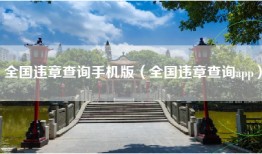 全国违章查询手机版（全国违章查询app）