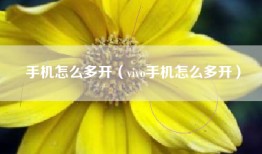 手机怎么多开（vivo手机怎么多开）