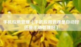 手机应用管理（手机应用管理是自动好还是手动管理好）