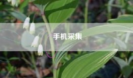 手机采集