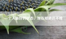一个人最好的状态，现在知道还不晚