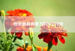 创业最具有潜力的10个行业