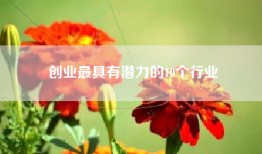 创业最具有潜力的10个行业