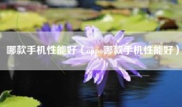哪款手机性能好（oppo哪款手机性能好）