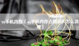 qq手机内存（qq手机内存占用太大怎么清理）