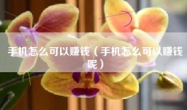 手机怎么可以赚钱（手机怎么可以赚钱呢）