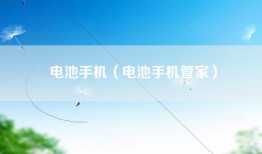 电池手机（电池手机管家）