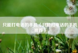 只能打电话的手机（只能打电话的手机推荐）