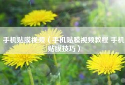 手机贴膜视频（手机贴膜视频教程 手机贴膜技巧）