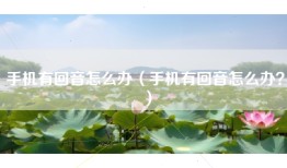 手机有回音怎么办（手机有回音怎么办？）