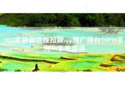 2024年最新地推拉新app推广接台TOP10全为一手单渠道