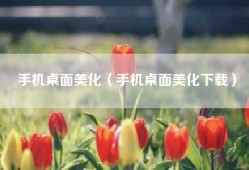 手机桌面美化（手机桌面美化下载）