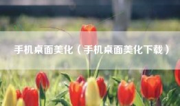 手机桌面美化（手机桌面美化下载）