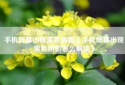 手机屏幕出现黑色阴影（手机屏幕出现黑色阴影怎么解决）