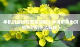 手机屏幕出现黑色阴影（手机屏幕出现黑色阴影怎么解决）