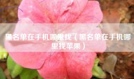 黑名单在手机哪里找（黑名单在手机哪里找苹果）