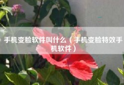 手机变脸软件叫什么（手机变脸特效手机软件）