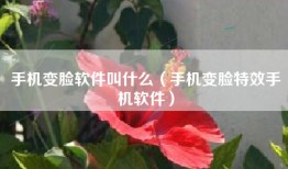 手机变脸软件叫什么（手机变脸特效手机软件）
