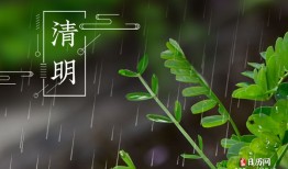 为什么每年清明都下雨，为什么清明总是下雨