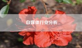 自媒体行业分析