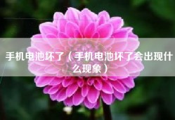 手机电池坏了（手机电池坏了会出现什么现象）