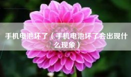 手机电池坏了（手机电池坏了会出现什么现象）
